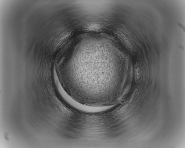 X0000097890593200803281247