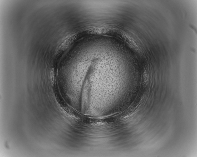 X0000097890594200803281247