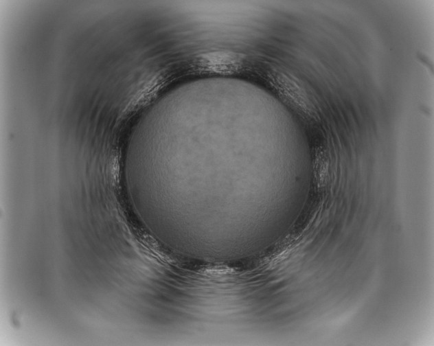 X0000097890595200803281247