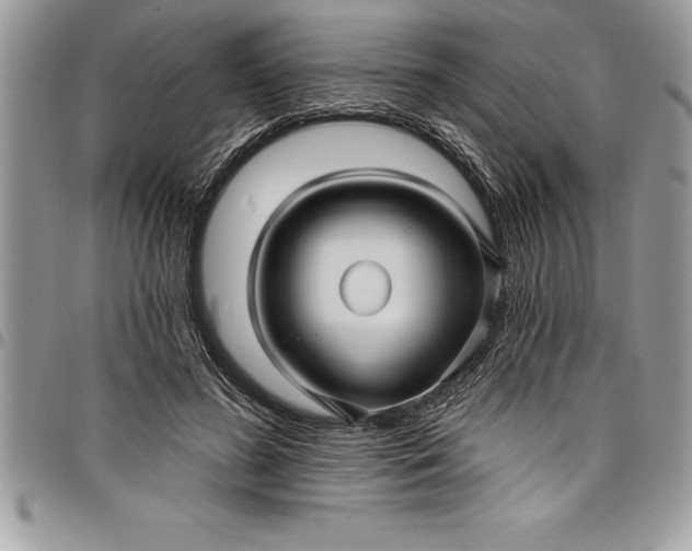 X0000097890596200803281247