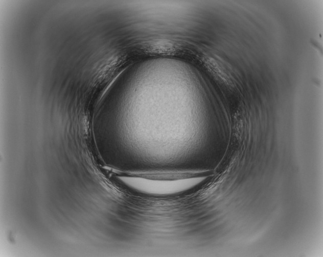 X0000097890597200803281247