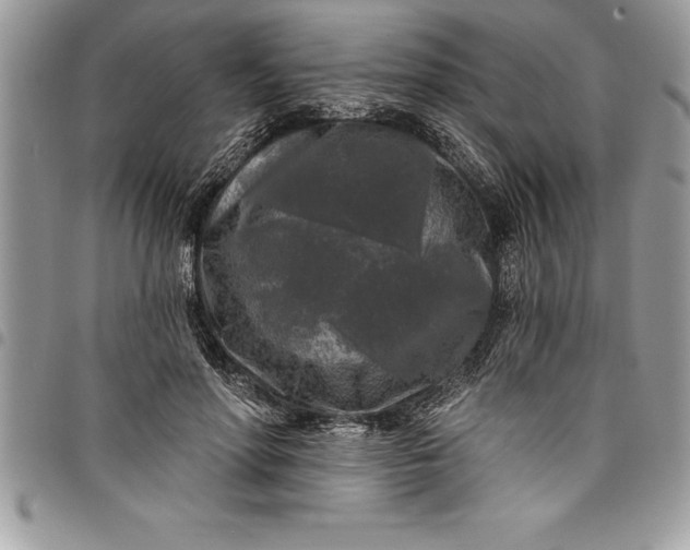 X0000097890598200803281247