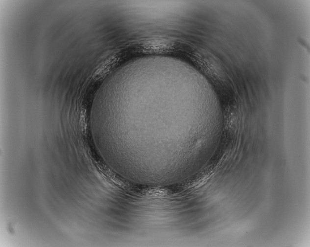 X0000097890599200803281247