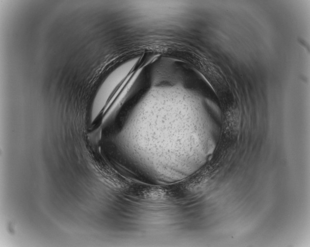 X0000097890600200803281247