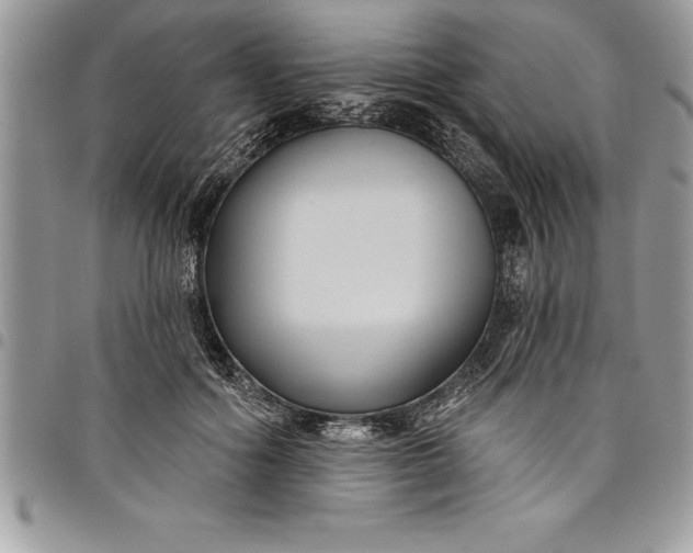 X0000097890602200803281247