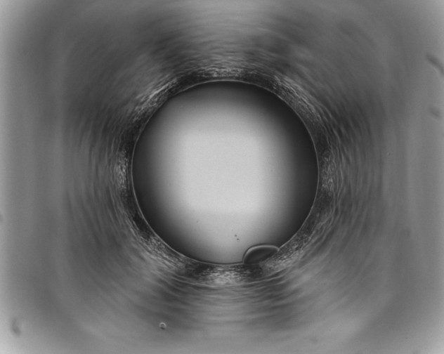 X0000097890604200803281247