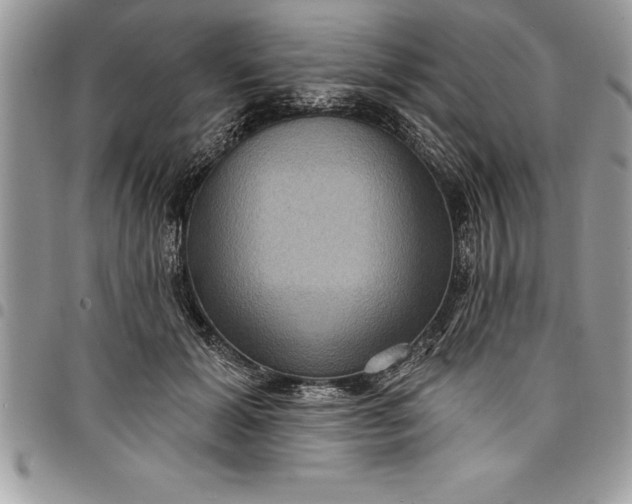 X0000097890605200803281247