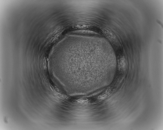 X0000097890606200803281247