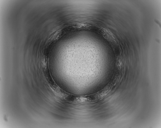 X0000097890607200803281247