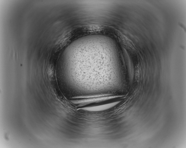 X0000097890608200803281247