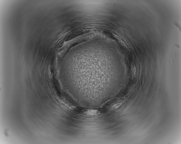 X0000097890609200803281247