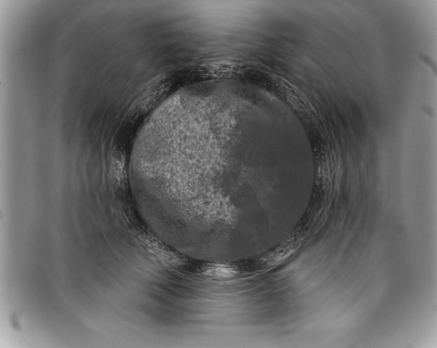 X0000097890610200803281247