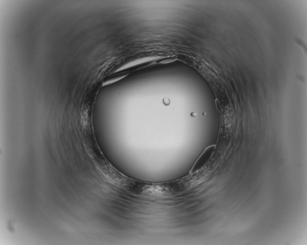 X0000097890611200803281247