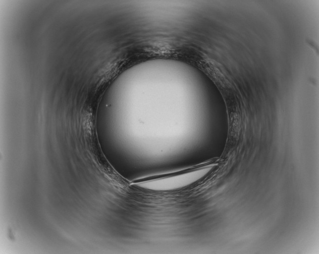 X0000097890612200803281247