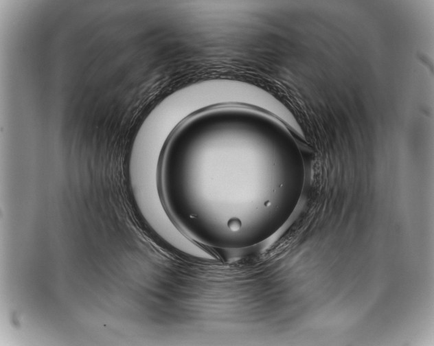 X0000097890614200803281247