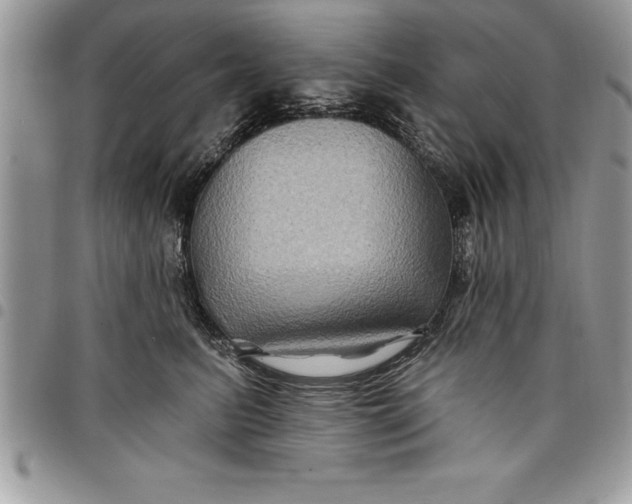 X0000097890615200803281247