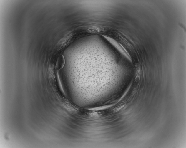 X0000097890616200803281247