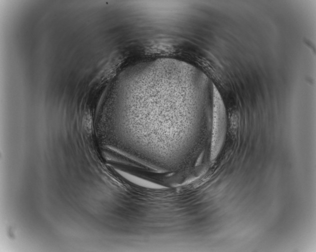 X0000097890617200803281247