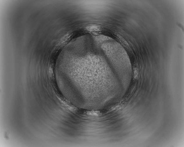 X0000097890618200803281247