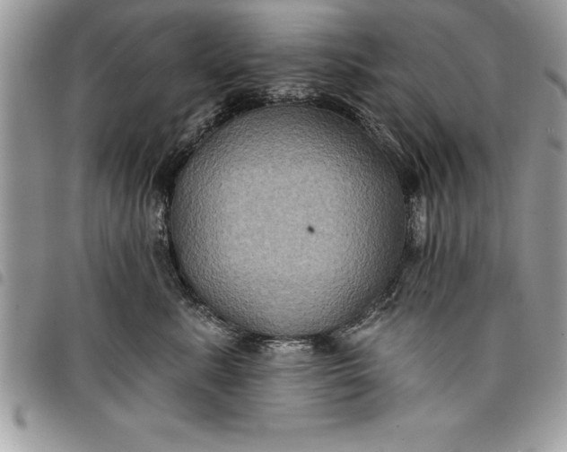 X0000097890619200803281247