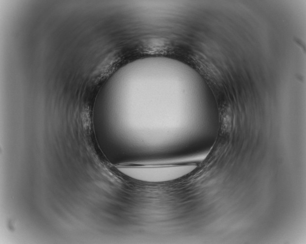 X0000097890620200803281247