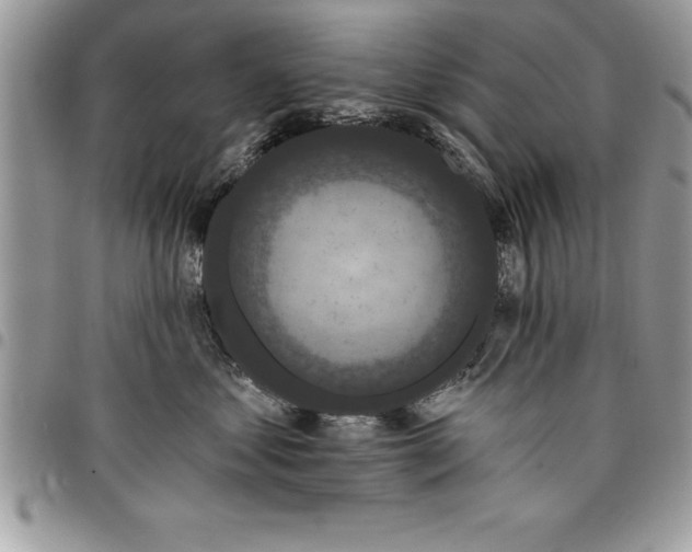 X0000097890621200803281247