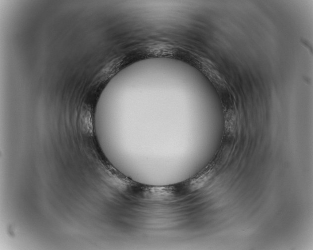 X0000097890622200803281247