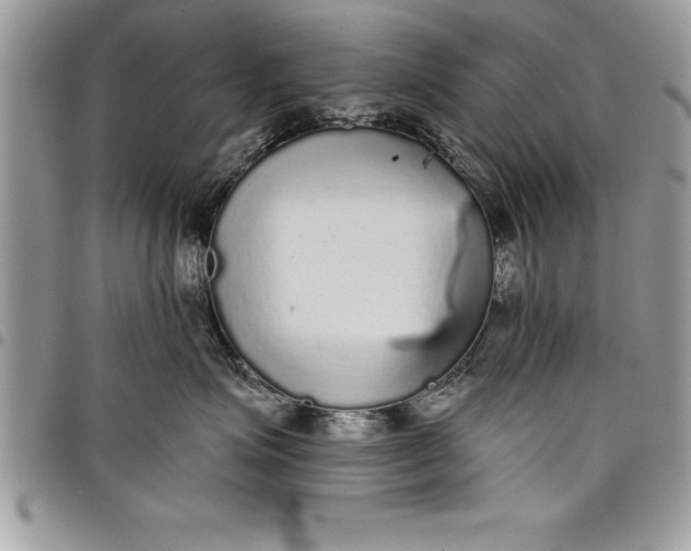 X0000097890623200803281247