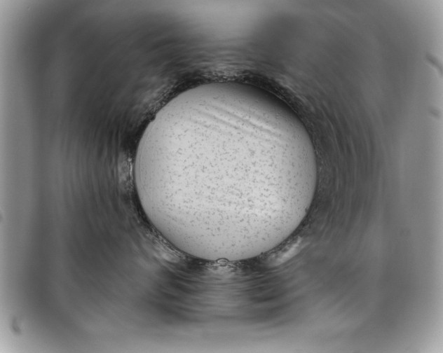 X0000097890624200803281247