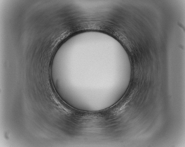 X0000097890625200803281246