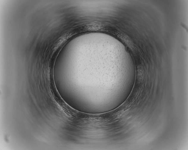 X0000097890626200803281246