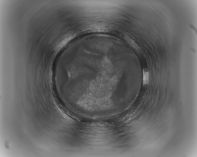 X0000097890627200803281246