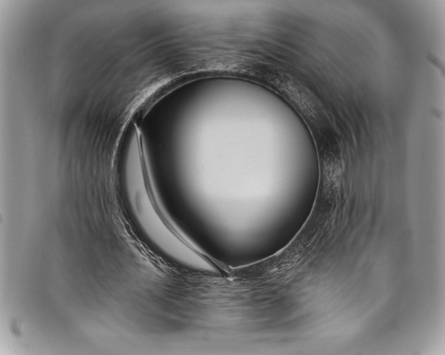 X0000097890628200803281246