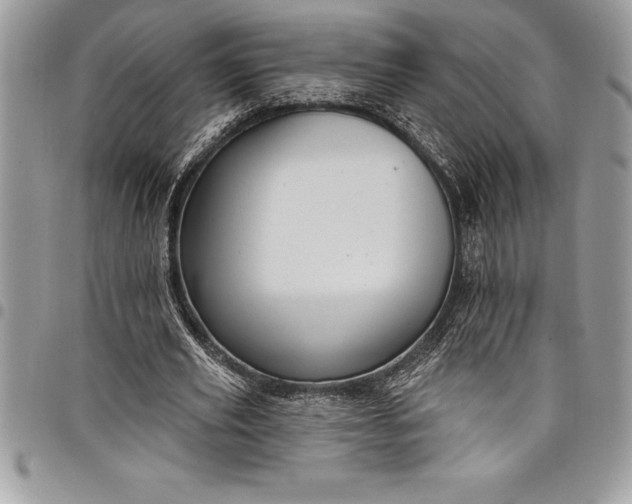 X0000097890629200803281246