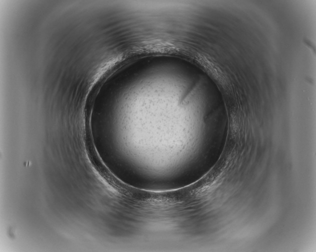 X0000097890630200803281246