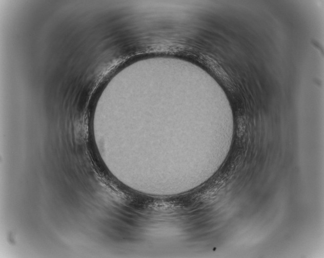 X0000097890632200803281246