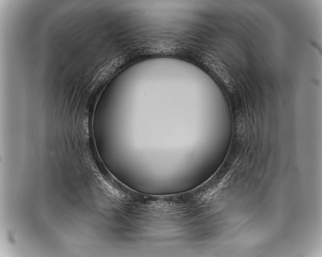 X0000097890633200803281246