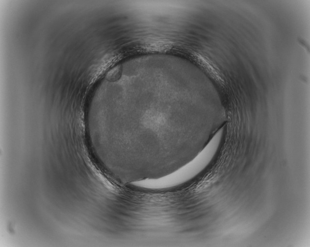 X0000097890634200803281246