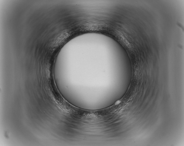 X0000097890635200803281246