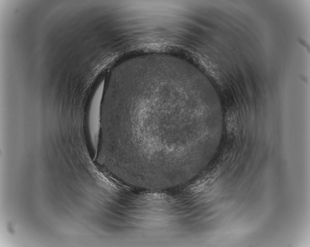 X0000097890637200803281246