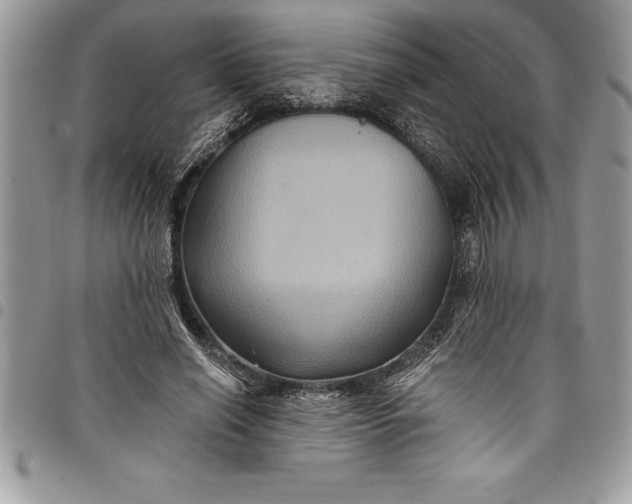 X0000097890638200803281246