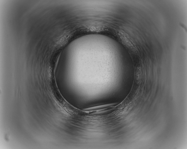 X0000097890639200803281246