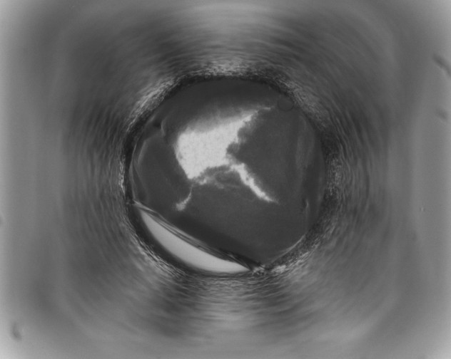 X0000097890640200803281246