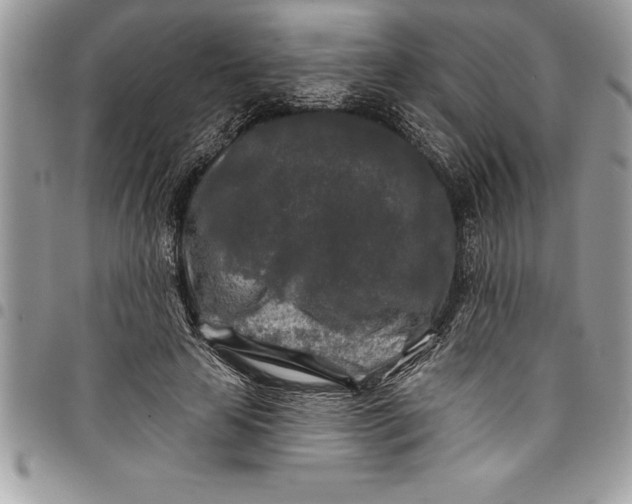 X0000097890641200803281246