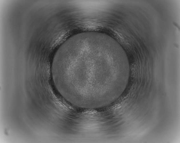 X0000097890642200803281247