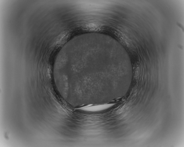 X0000097890643200803281247