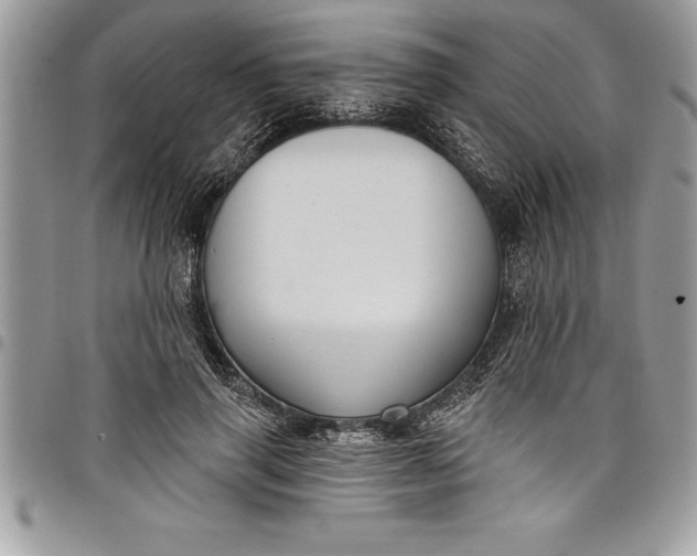 X0000097890645200803281247