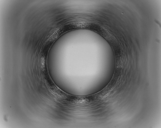 X0000097890646200803281247