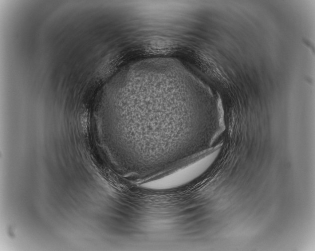 X0000097890647200803281247