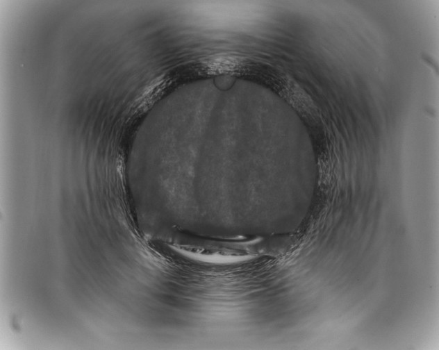 X0000097890648200803281247